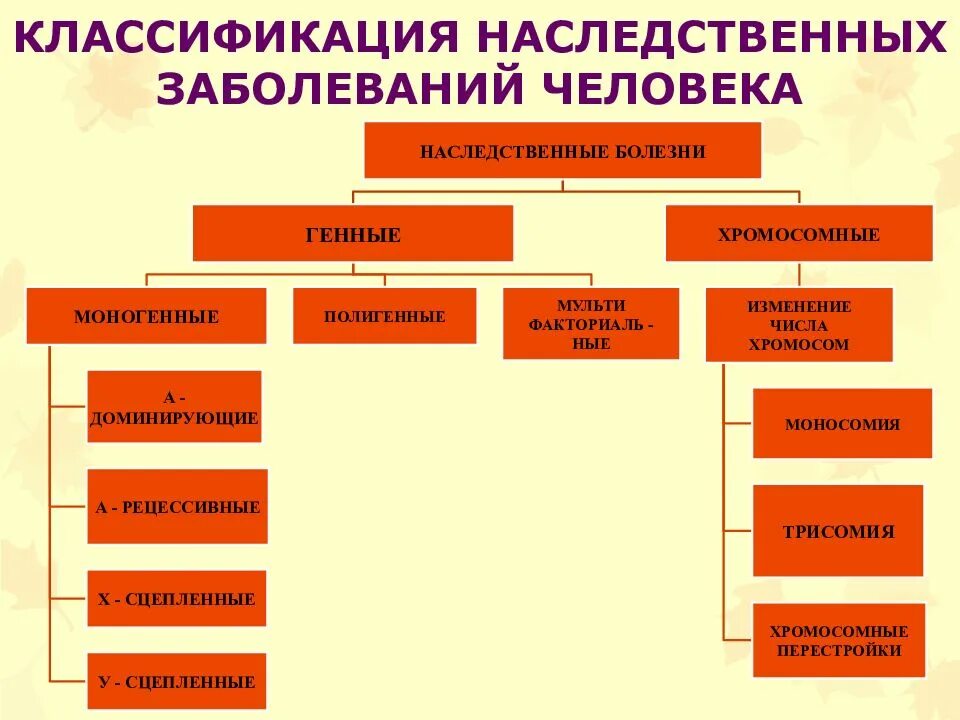 Какие заболевания наследуются. Типы наследования наследственных заболеваний. Причина и классификация наследственных болезней. Ненаследственные заболевания человека. Причина и классификация наследственных заболеваний..