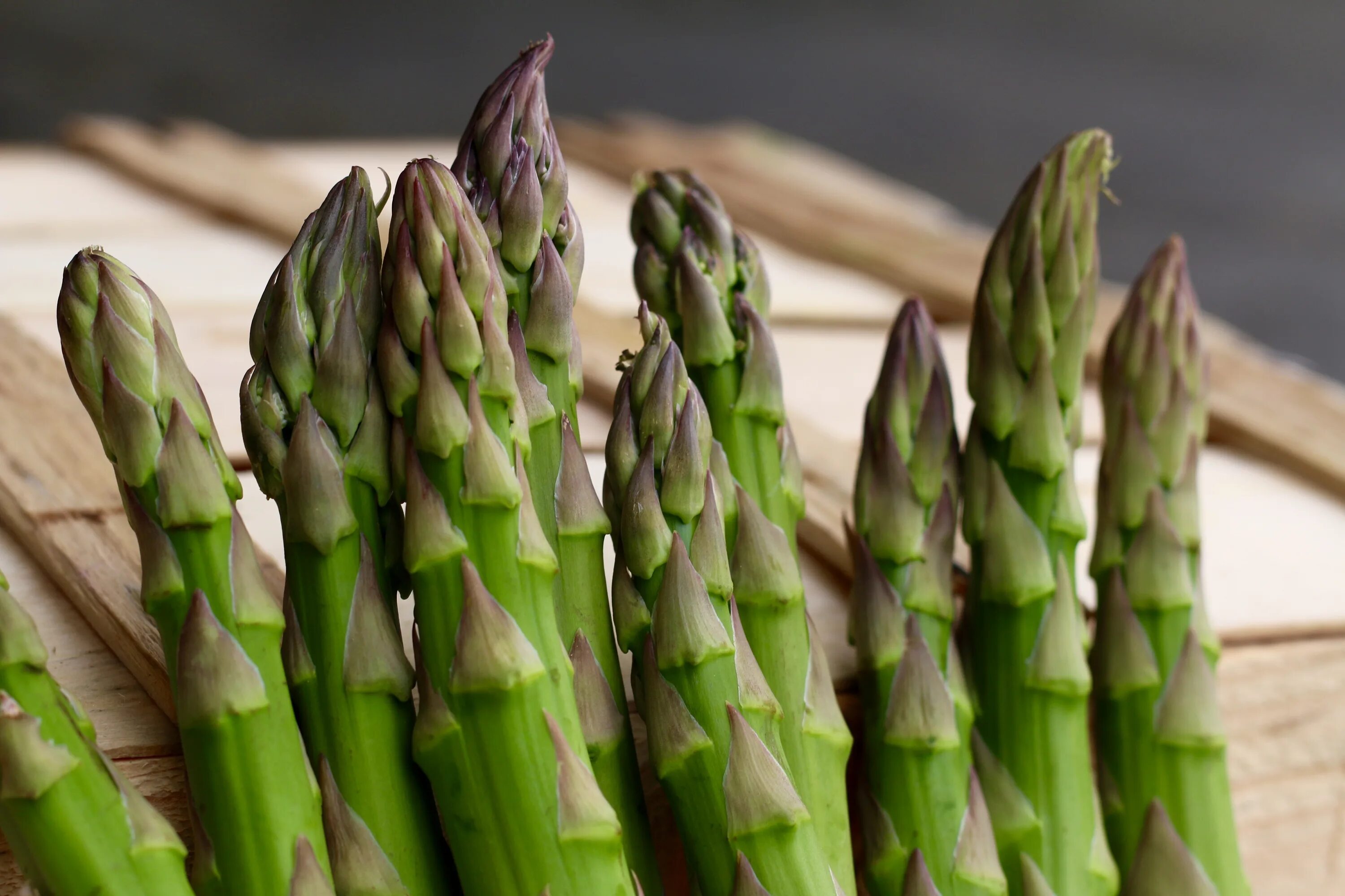 Спаржа из чего. Спаржа зеленая. Спаржа щетинковидная. Спаржа (Asparagus officinalis).. Спаржа Asparagus Mary Washington.