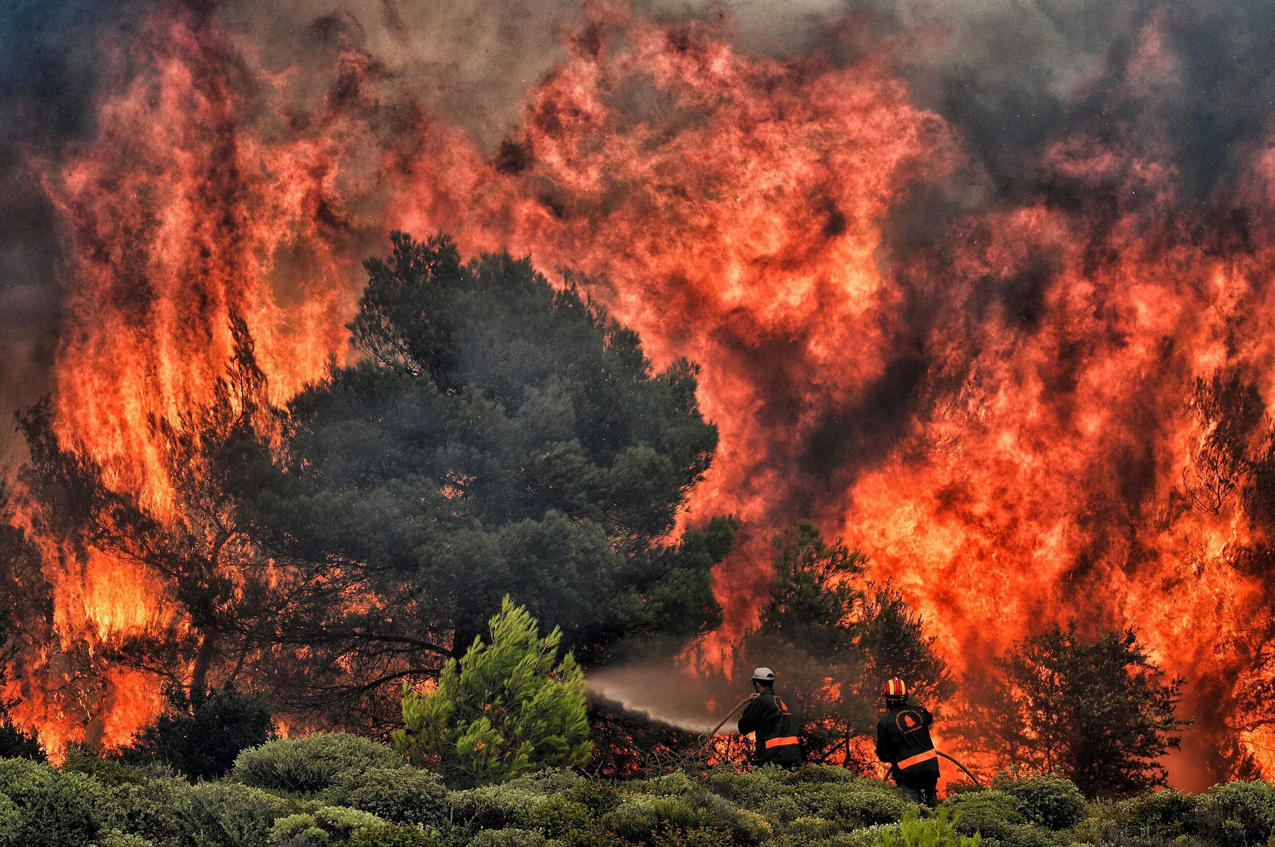 Global natural disasters
