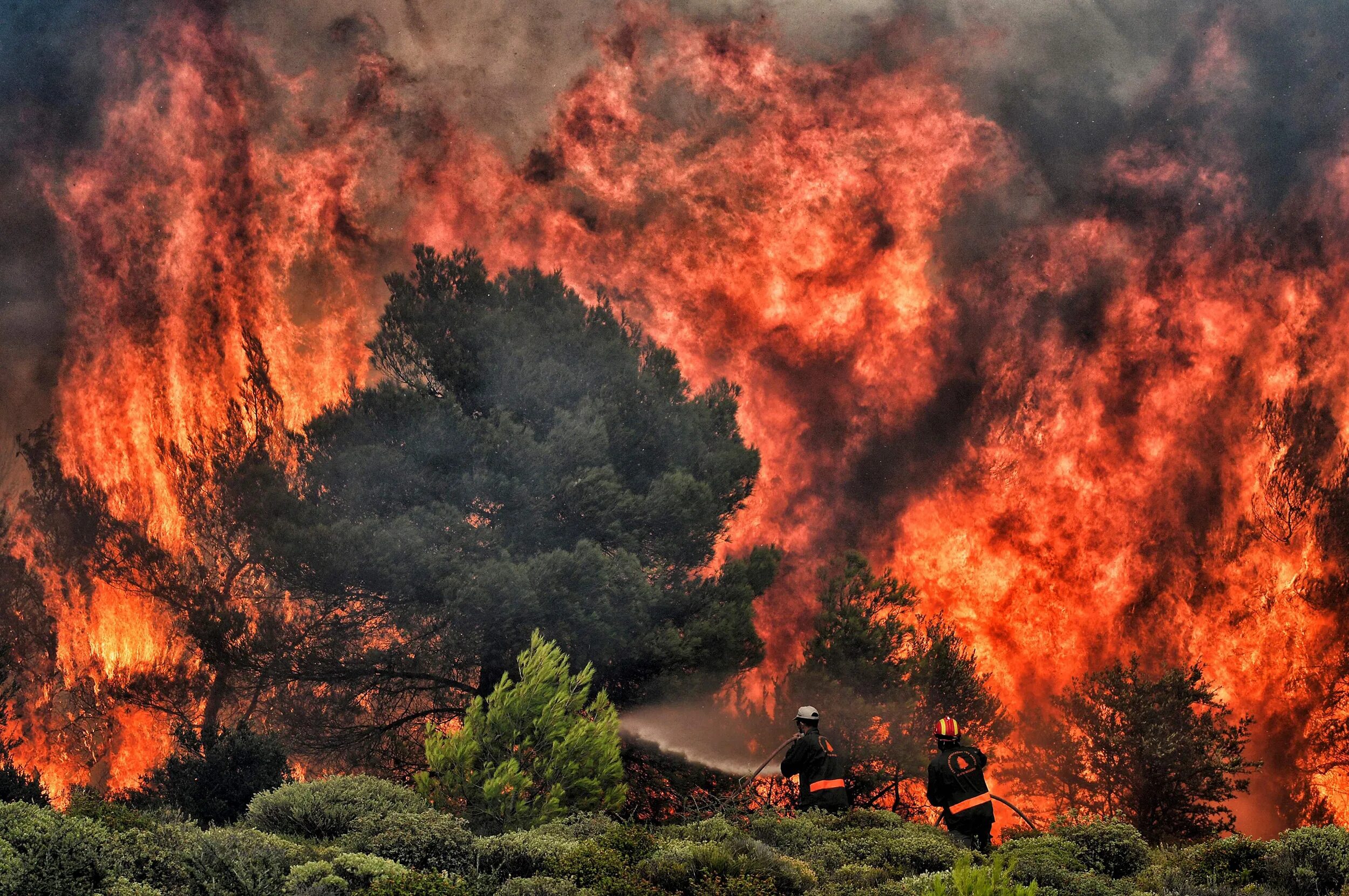 Nature disasters. Стихийные бедствия. Катастрофы природного характера. Пожар в лесу. Стихийные бедствия пожар.