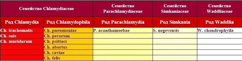 Схема лечения хламидиоза. Схема лечения хламидиоза трахоматис. Таблетки от хламидиоза. Лечение хламидиоза у мужчин схема лечения. Эффективное лечение хламидиоза