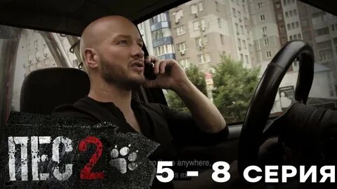 Пес 1 все