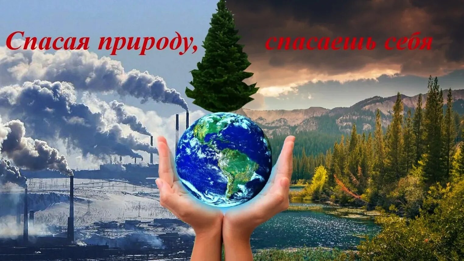 Как сохранить окружающую среду