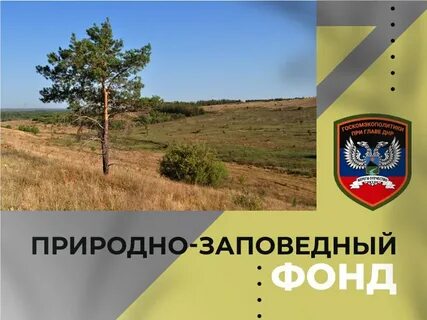Объект природно заповедного фонда