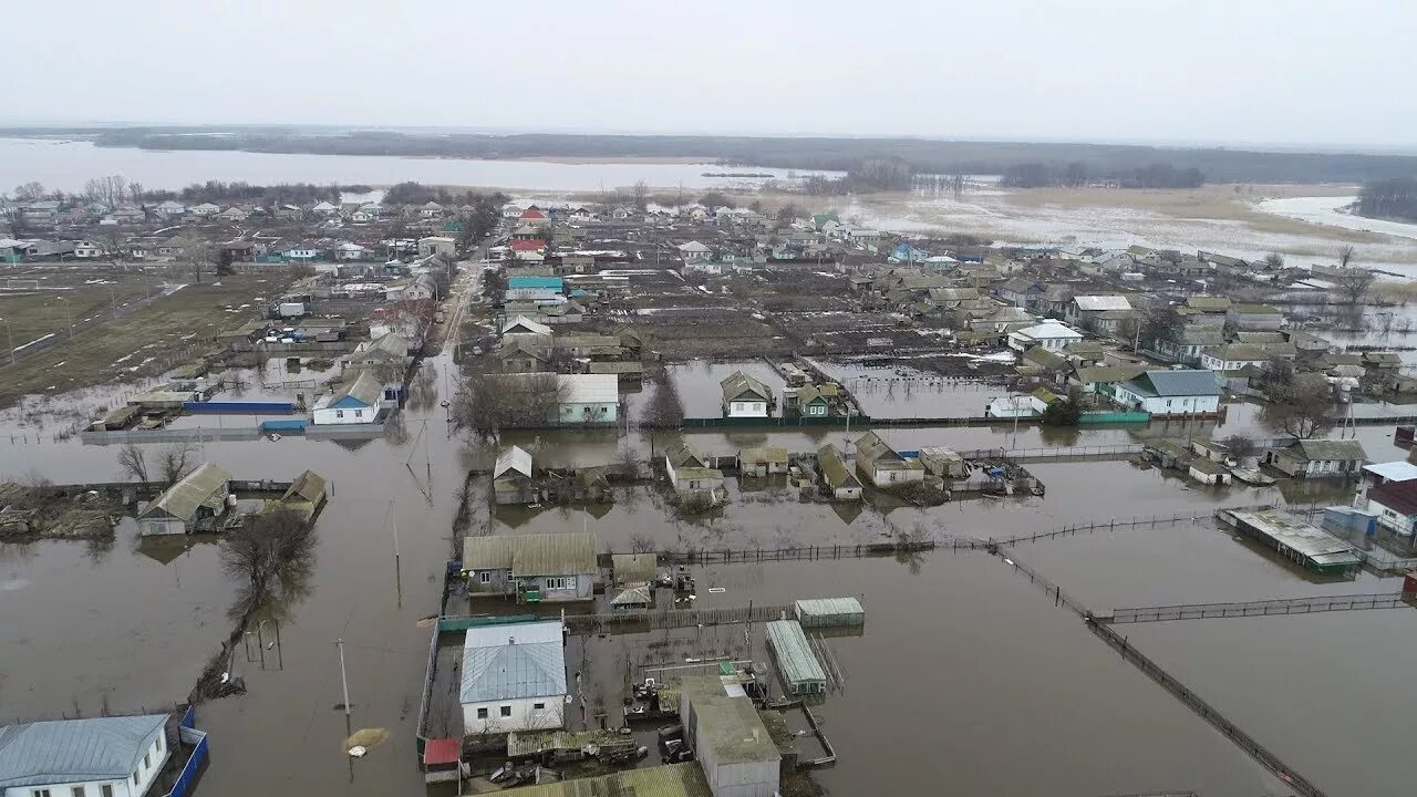 Сидоры Михайловский район. Село Сидоры Волгоградская область. Село Сидоры Михайловского района. Сидоры Волгоградская Михайловский район. Погода в сидорах михайловский