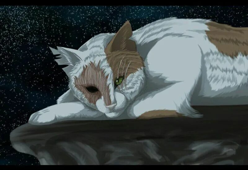 коты воители яролика и белохвост и белолапа. коты воители яролика и белохвост. коты воители яролика и белохвост. коты воители яролика и белохвост. коты воители смерть яролики.