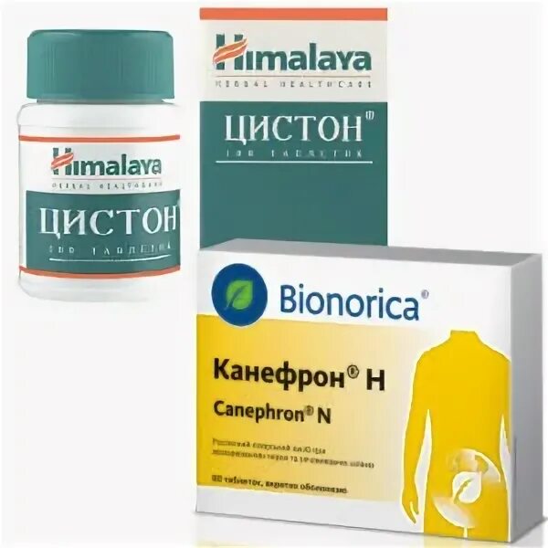 Что лучше цистон или канефрон при пиелонефрите. Цистон и канефрон. аналог цистона. цистон таблетки. цистон заменители.