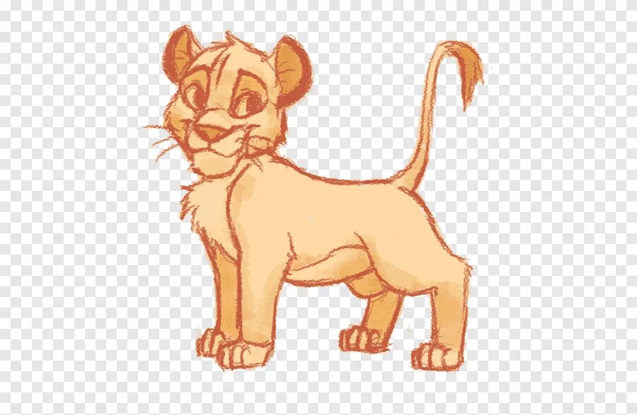 Котик simba. Симба рыжий котик. Кот симба лев. Симба из фильма король лев 2019. Симба котенок.