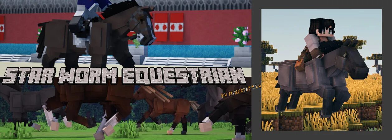 Swem mod minecraft. Мод в майнкрафт на лошадей star worm equestrian. Star worm equestrian как размножать. Star wars equestrian mod. Майнкрафт скины конный спорт.