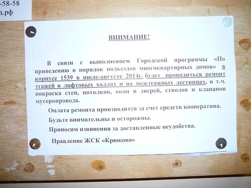 Обязанности старшего по подъезду. Полномочия старшего по подъезду. Обязанности старшего по дому в многоквартирном. Выборы старшего по дому