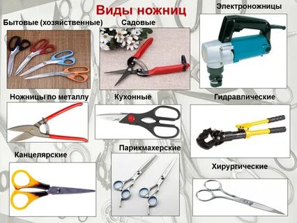 Название ножниц