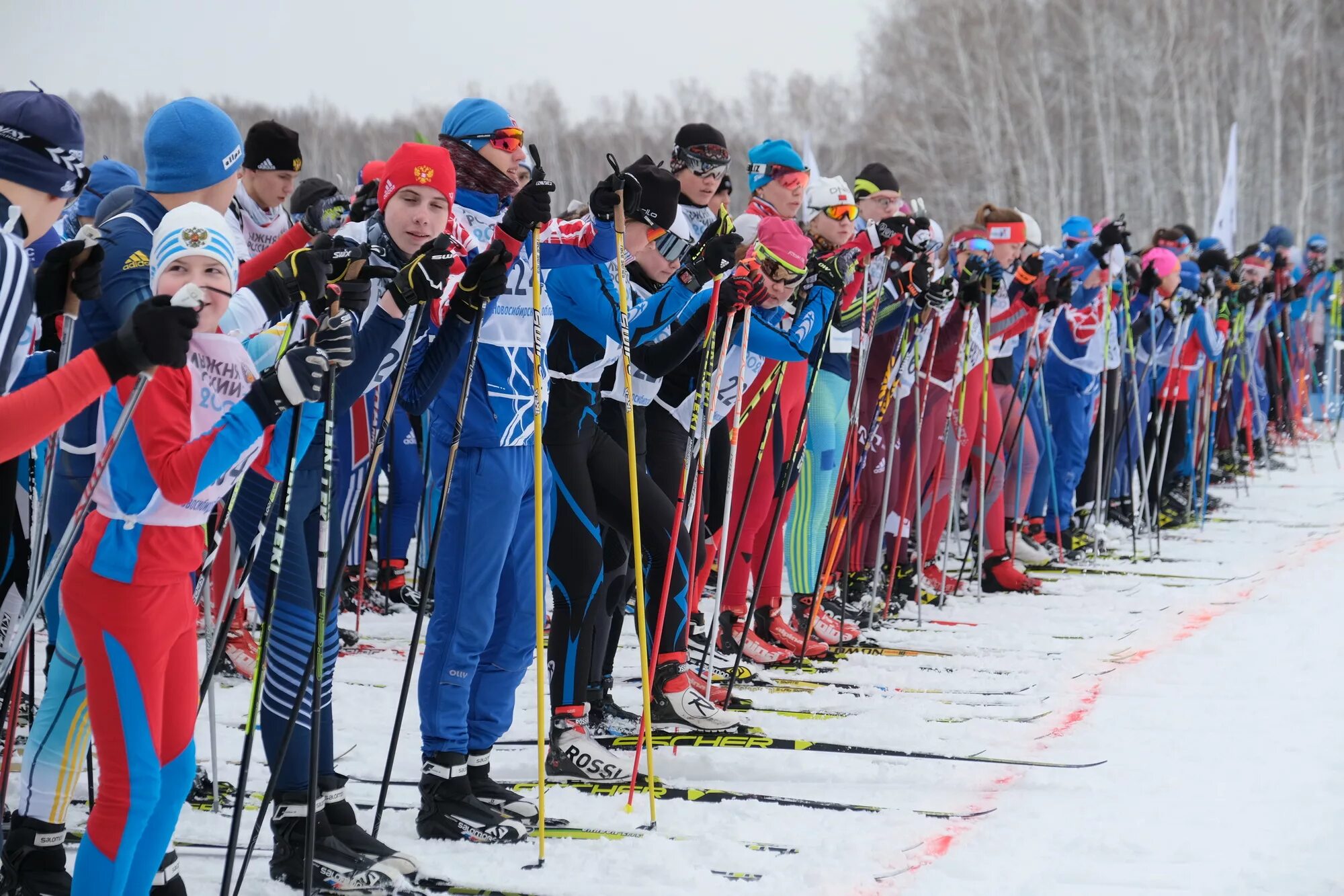 Лыжная гонка 2009. Лыжные гонки лыжня россии. лыжная гонка &quot;лыжня россии&quot; хабаровск. псков лыжня россии псков. лыжня новосибирск.