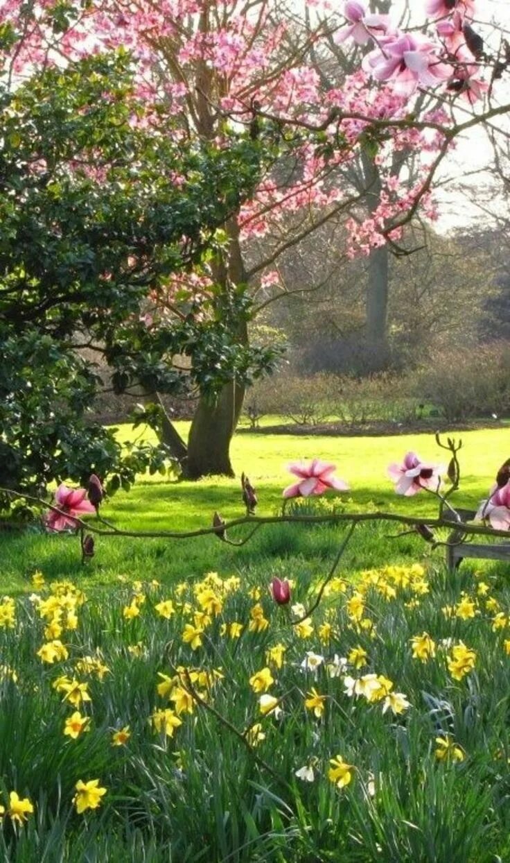 Was the best in spring. Цветущий сад. Сад в цвету. Весна. Весна природа.