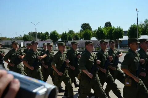О зеленый волжский