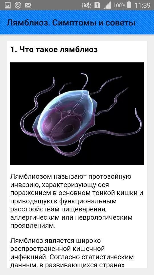 Что такое лямблии у взрослых