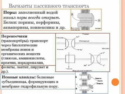 Варианты пассивного