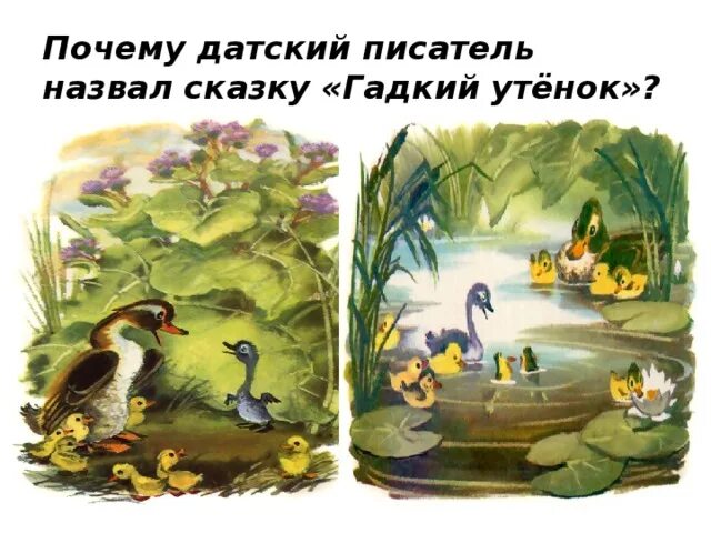 Г.Х. Андерсен «Гадкий утёнок 3 класс план. Гадкий утёнок 3 класс литературное чтение. Иллюстрация к сказке Андерсена Гадкий утенок. Г Х Андерсен Гадкий утёнок план. Вопросы к сказке гадкий утенок