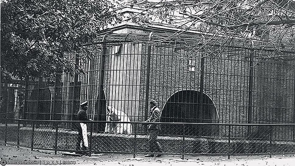 Кем был основан московский зоосад. Московский зоологический сад 1864. московский зоосад 1864 год. московский зоопарк 1864. московский зоопарк 19 век.