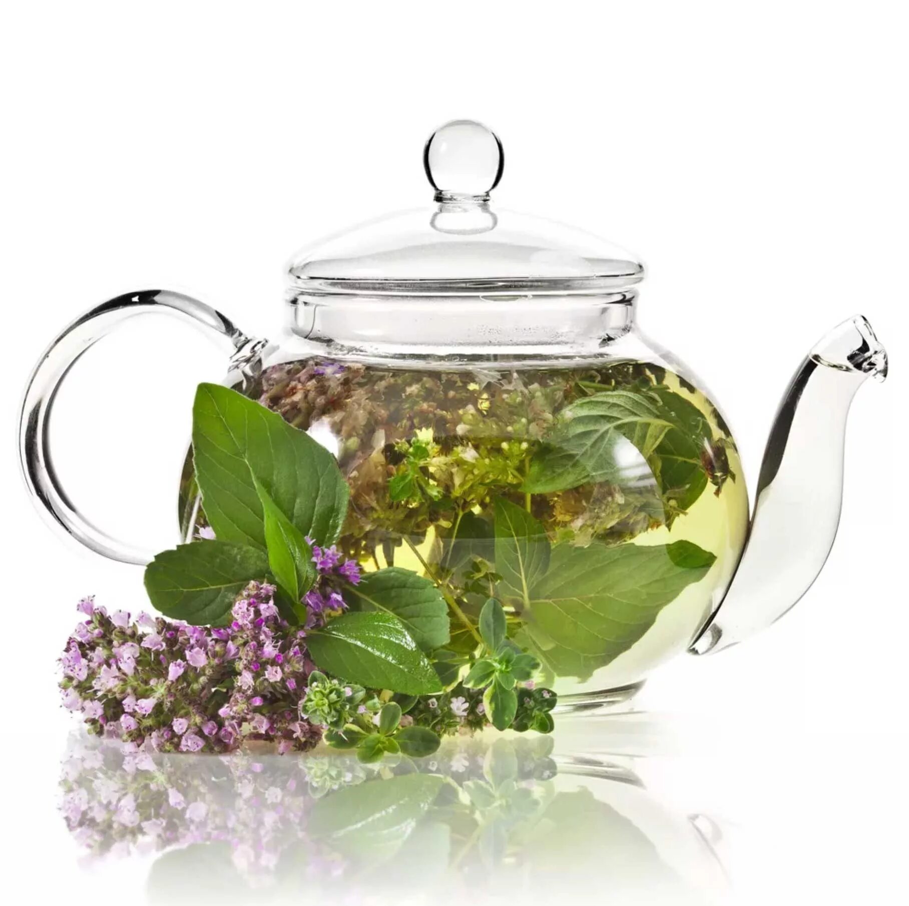 Чай мята душица. Травяной чай чабрец. "Чай травяной" "бадан толстолистный". Чай душица мята. Алтайский травяной чай.