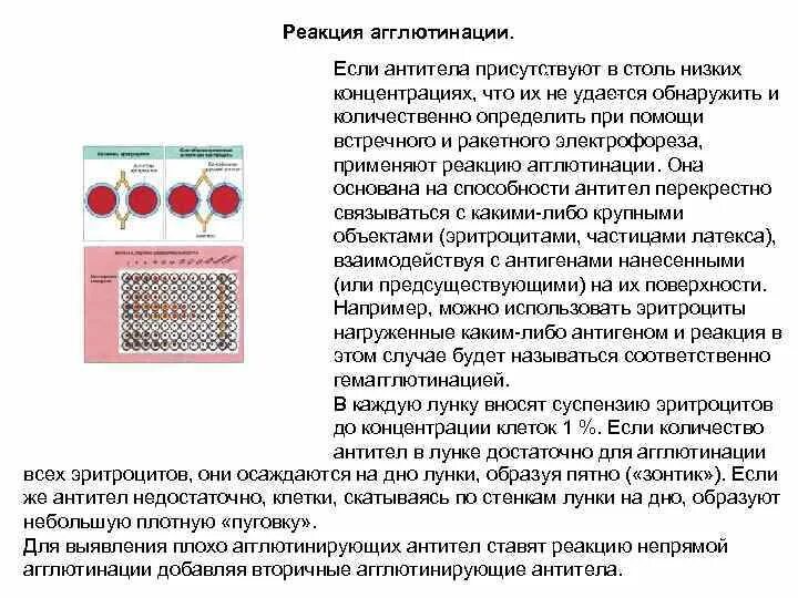 Забор крови на реакцию агглютинации. Реакция агглютинации для выявления антител. Агглютинация клеток крови. Реакция агглютинации эритроцитов крови. Реакция агглютинации эритроцитов