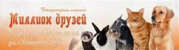 Миллион друзей ярославль