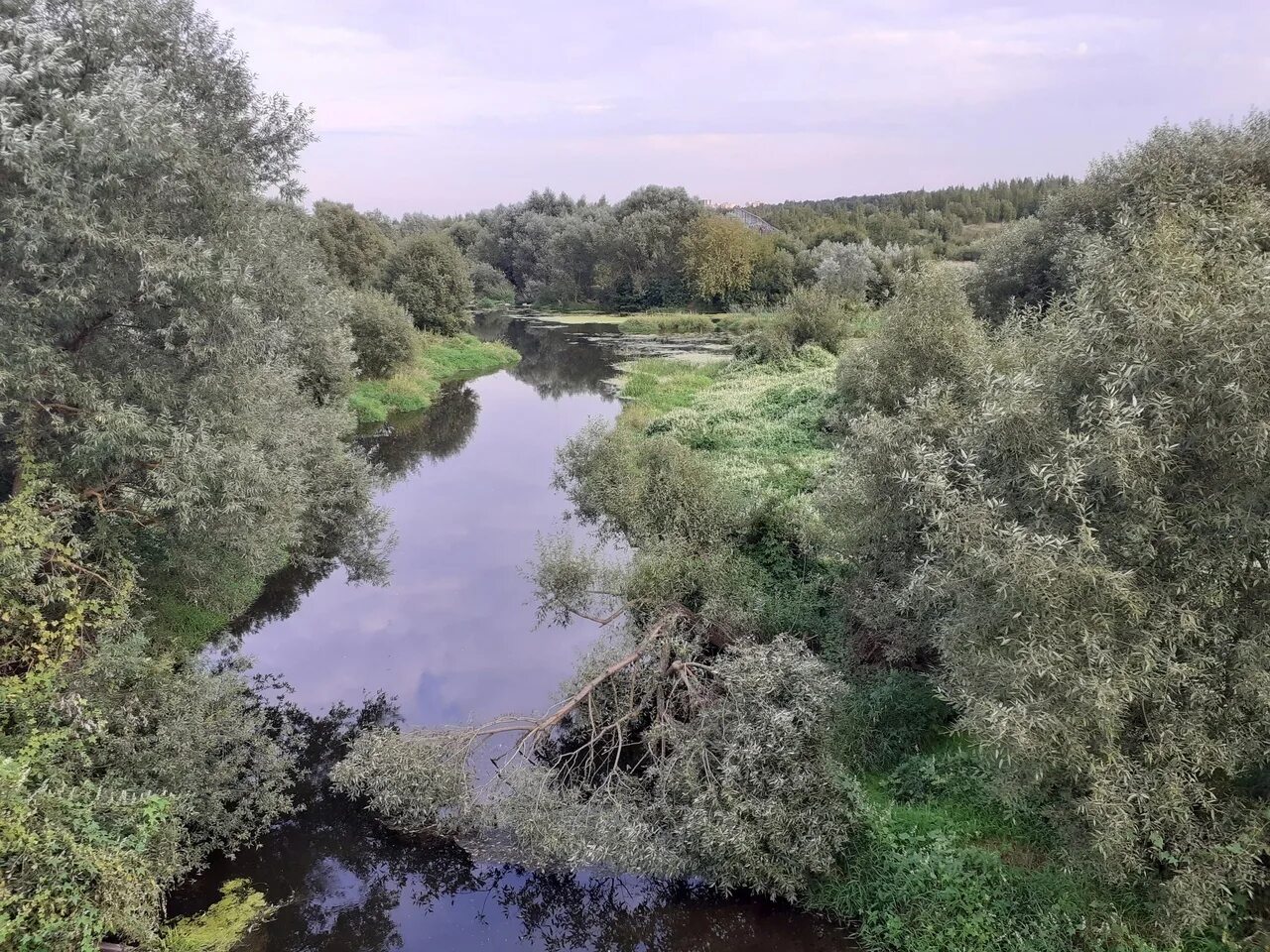 Деревня луковня подольск
