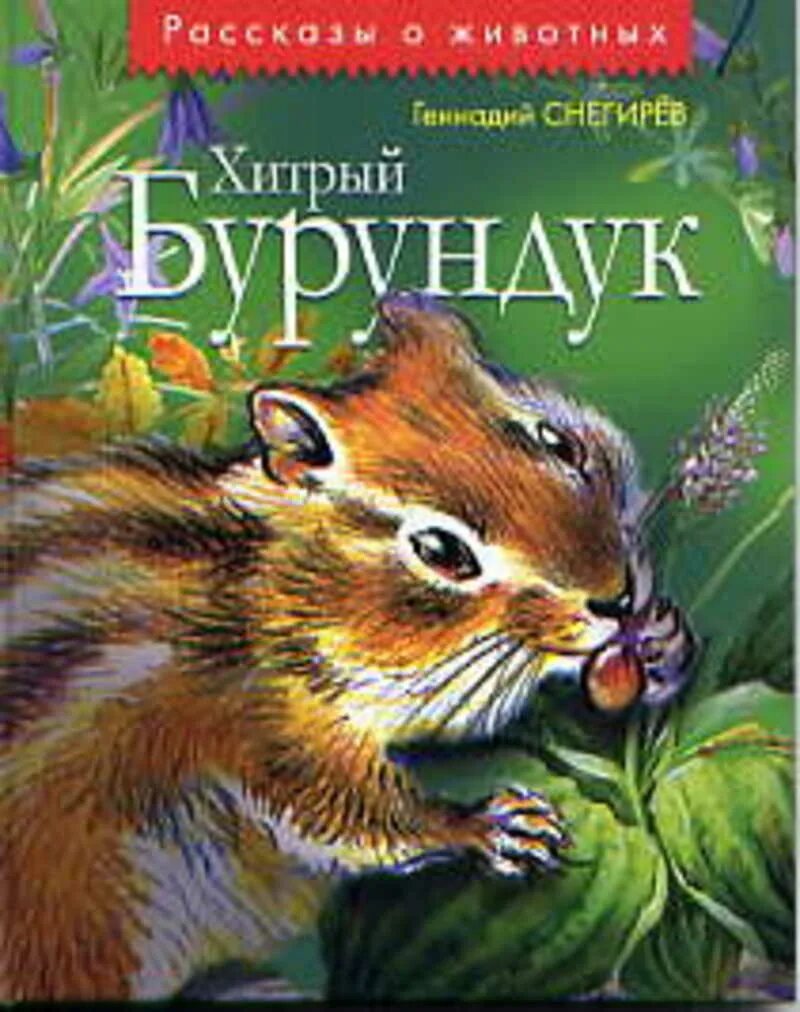 Снегирев хитрый бурундук. Снегирев хитрый бурундук. Г. Снегирев хитрый бурундук. "хитрый бурундук".