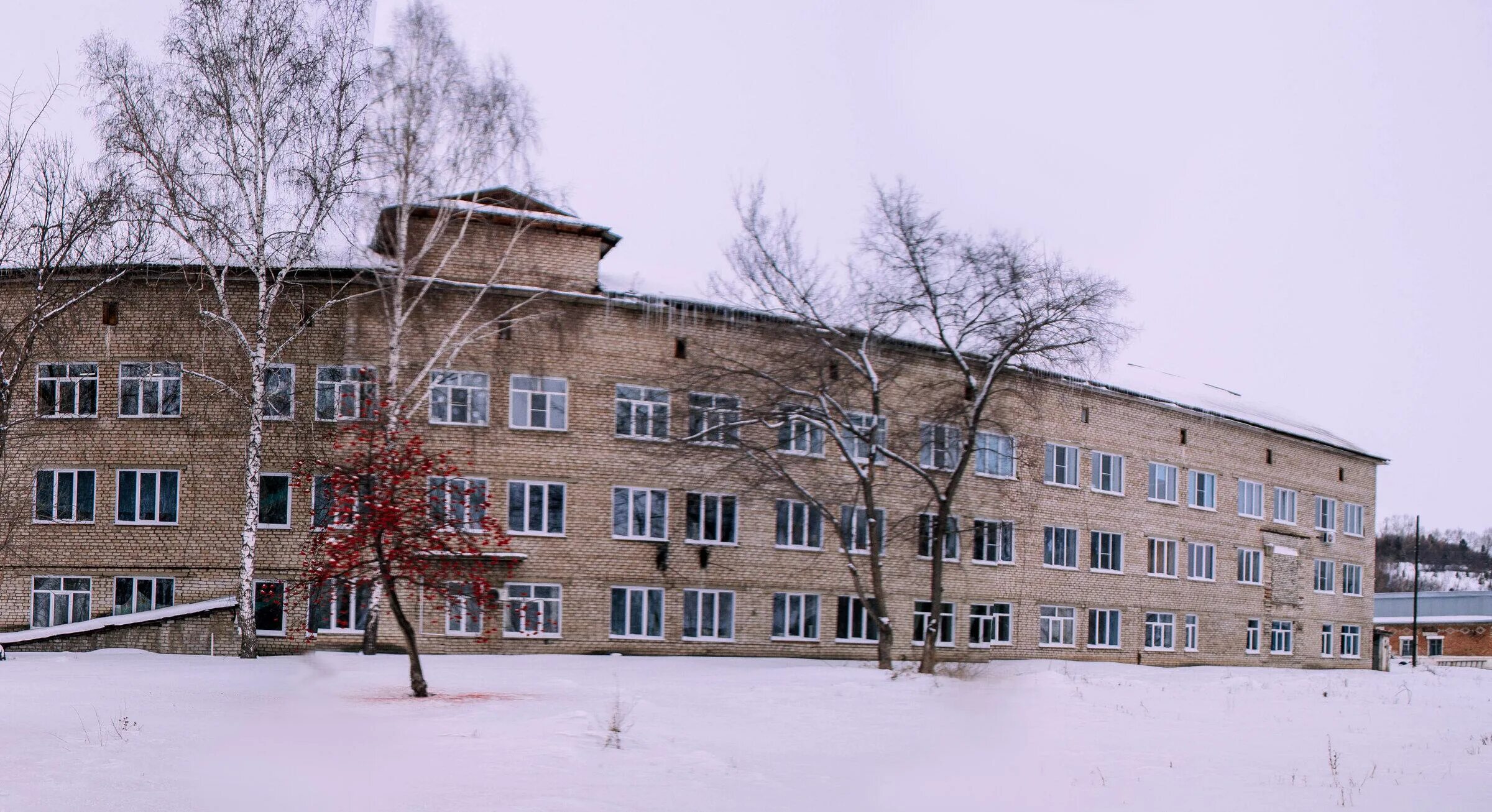 Завьяловская црб алтайский край. Поликлиника алтай. Больница алтайское село алтайского края. Алтайская центральная районная больница. Советская црб алтайский край.