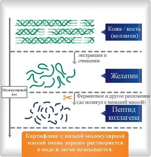 Костный коллаген