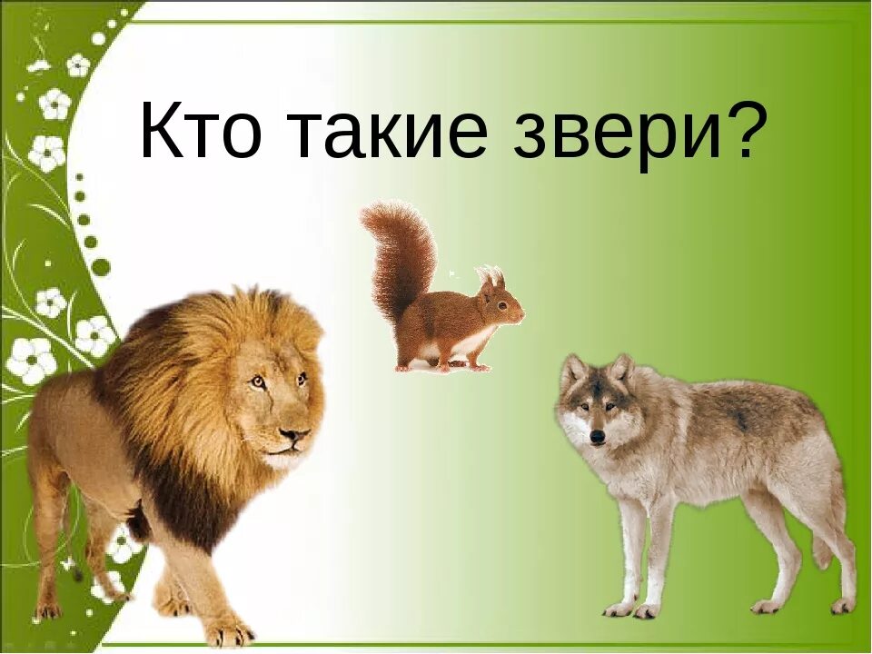 Животные для первого класса. Звери это кто. Звери презентация 1 класс. Звери окружающий мир. Окружающий мир 1 класс тема звери.