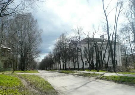 Старые колтуши