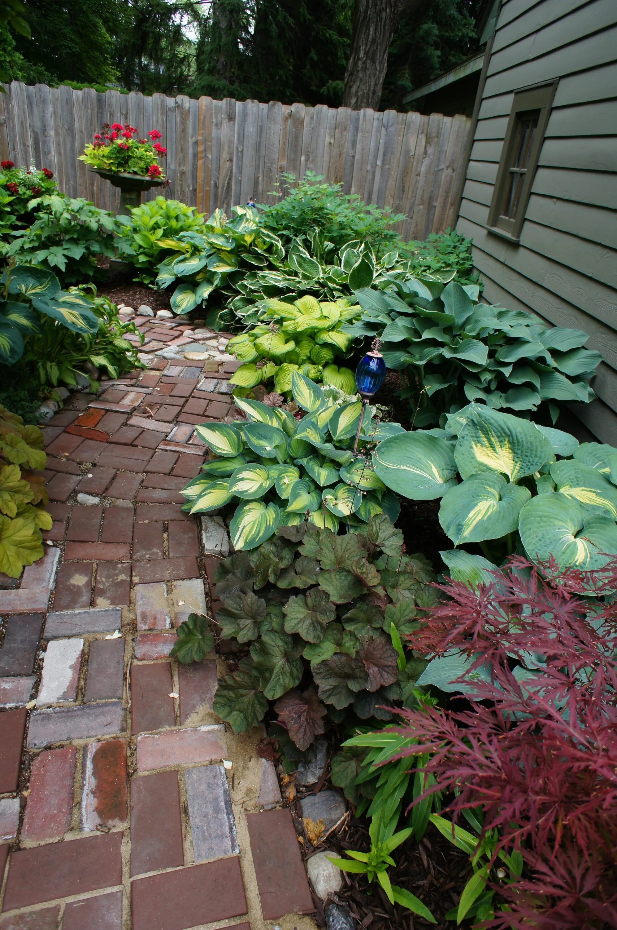 Ландшафтный дизайн с хостами Pin by Алла Постнова on garden Shade garden, Shade tolerant plants, Lawn and gar