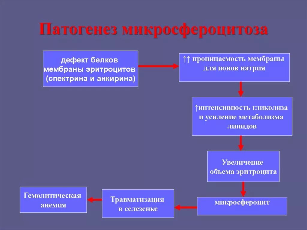 Уровни патогенеза
