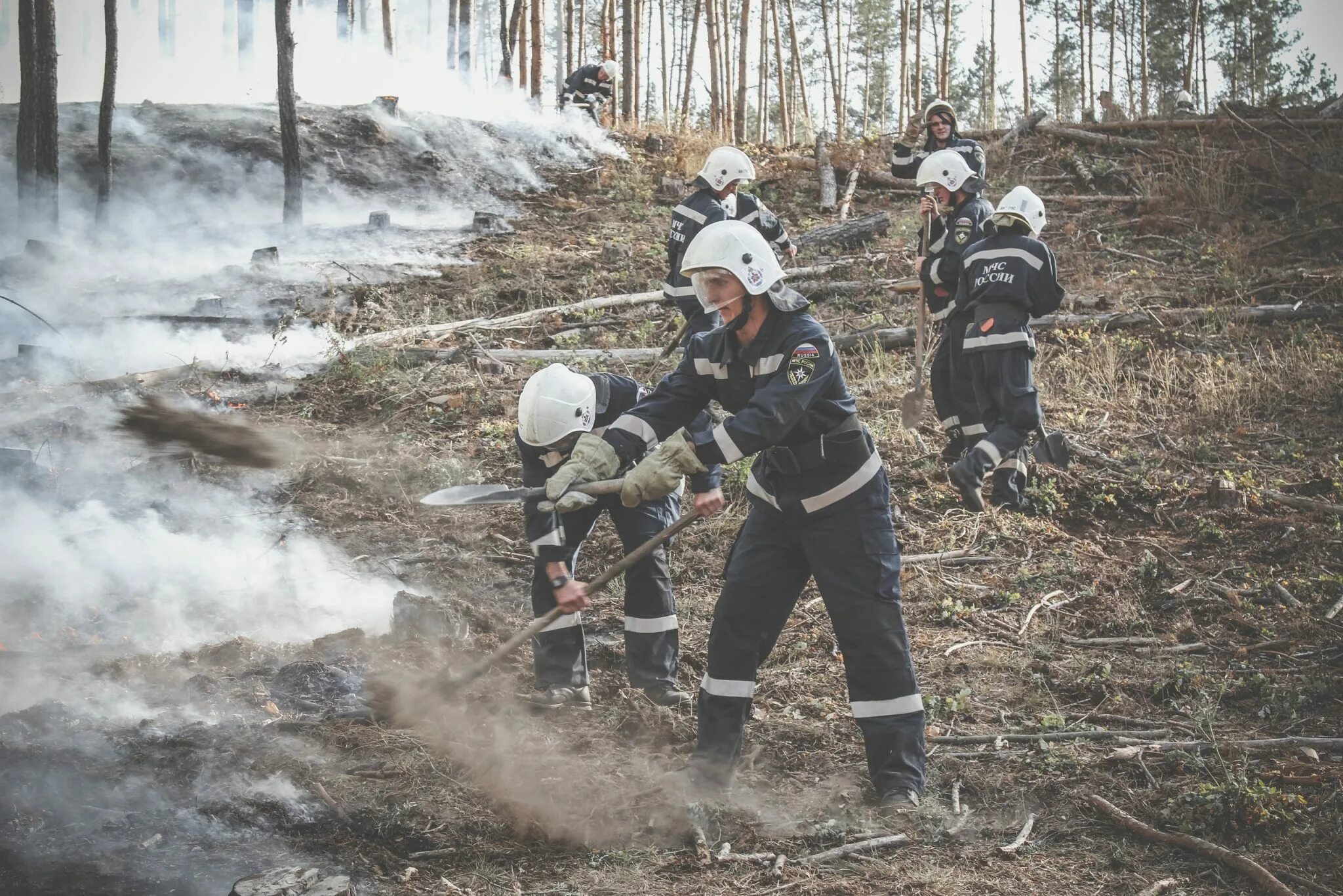 Противопожарный режим в воронежской области