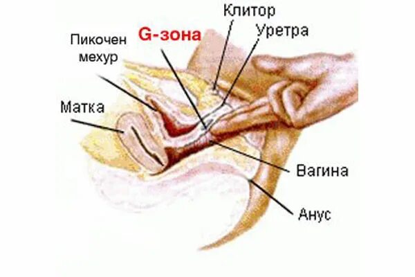 Какая Поза Для Сквирта