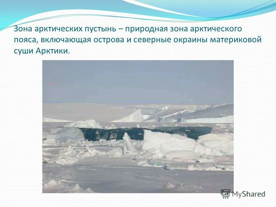 Какая зона арктических пустынь. Природная зона арктических пустынь. Зона арктического пояса. Арктические пустыни природная зона. Арктическая пустыня природная зона.