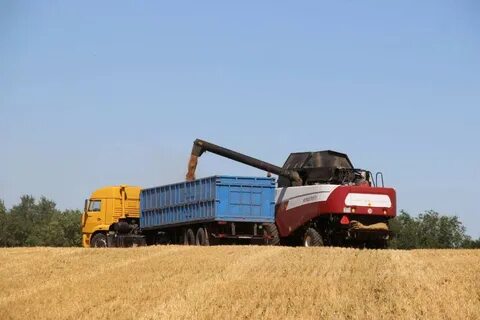 Дон агро ростов