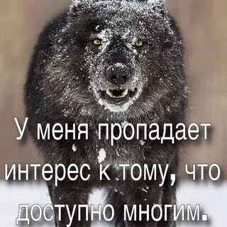 Не вызывающими большого интереса