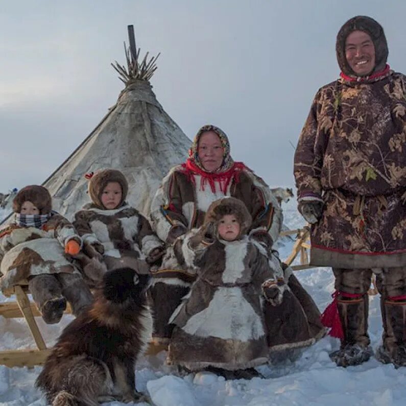Ямало ненецкий автономный коренной народ. Коренные малочисленные народы севера хмао. Коренные жители янао ненцы. Ямальская тундра и ненцы. Тарко сале ненцы.