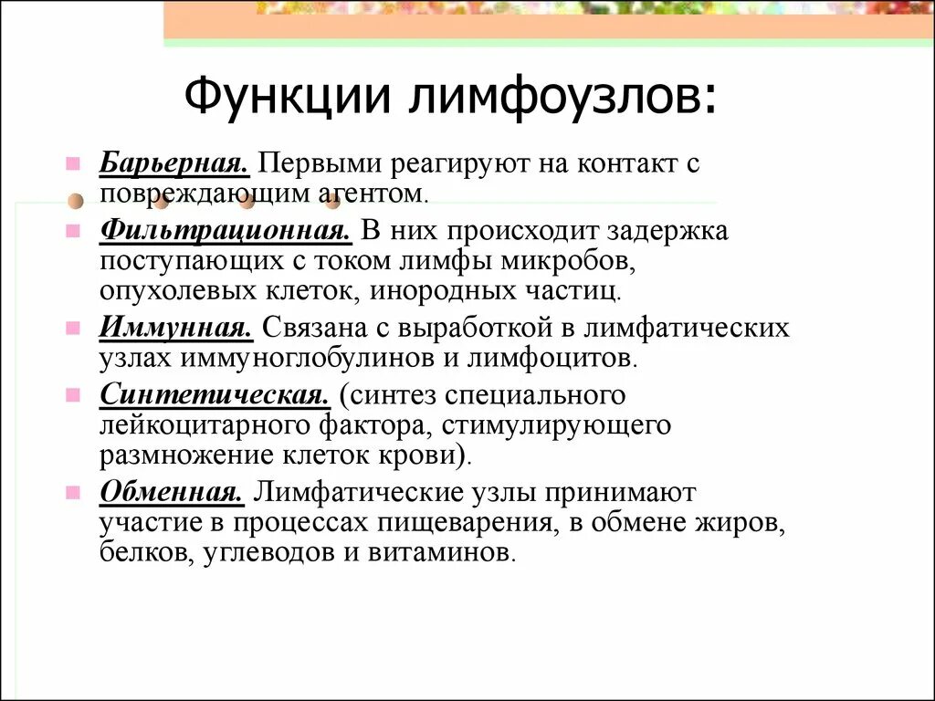 Лимфатический узел как орган классификация лимфатических узлов Структура лимфы