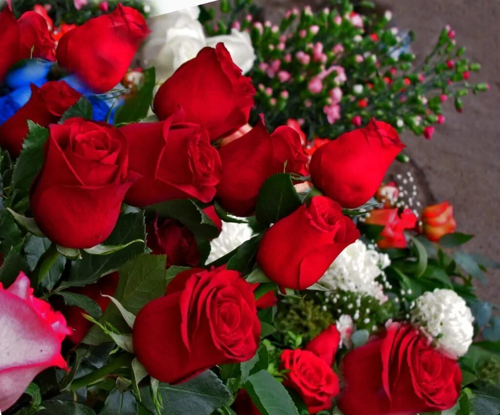 Фото дорогим друзьям. Шикарные цветы. Красивый букет роз. Шикарный букет роз. Красивые букеты цветов для тебя.