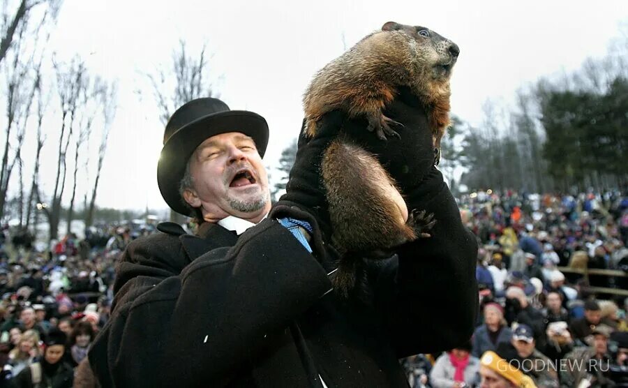 Суть дня сурка. Groundhog Day праздник. Сурок Фил из Панксатони. День сурка 2.