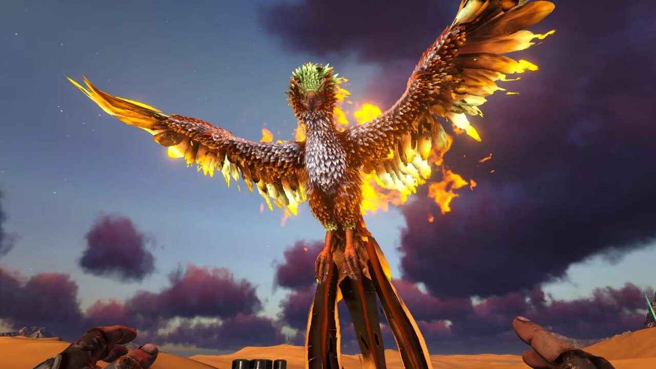 Феникс арк. Феникс арт арк. Феникс из арк. Феникс арт арк. Феникс phoenix арк.