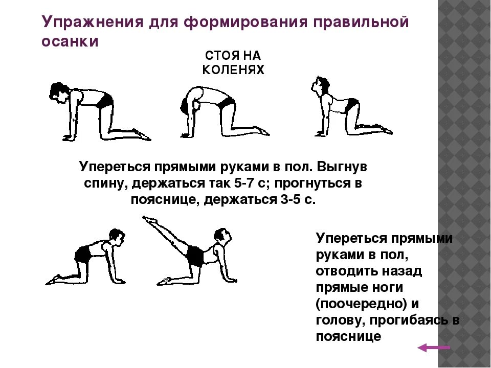 Гимнастическое упражнение способствовать правильному формированию осанки. Гимнастика для осанки и укрепления спины. упражнения на осанку для дошкольников. комплекс упражнений для улучшения осанки. формирование правильной осанки.