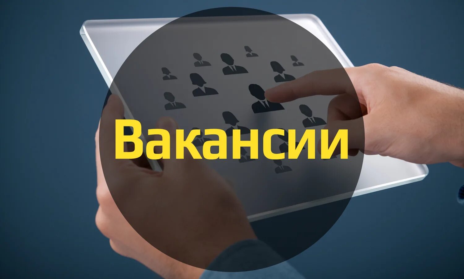 Вакансия. Есть вакансия. Работа вакансии. Открытые вакансии. Ищу работу пвх