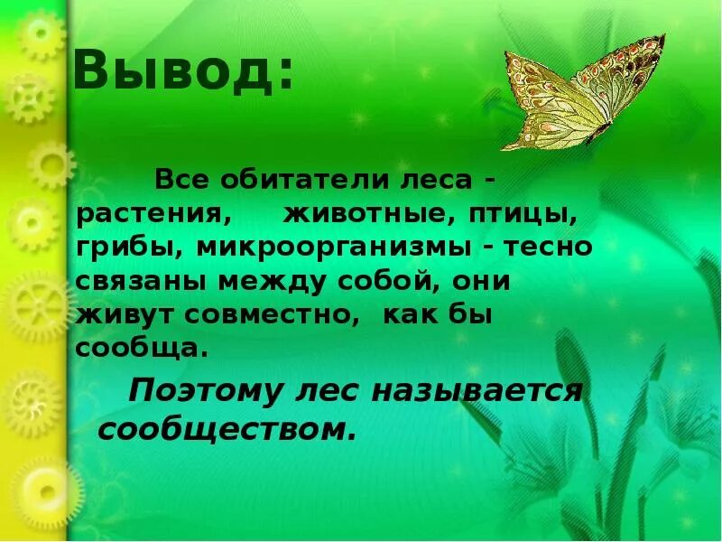 Почему лес называют сообществом 2 класс рассказ. Вывод животные леса. Как обитатели леса связаны между собой. Вывод растения и животные леса. Проект на тему жизнь леса.