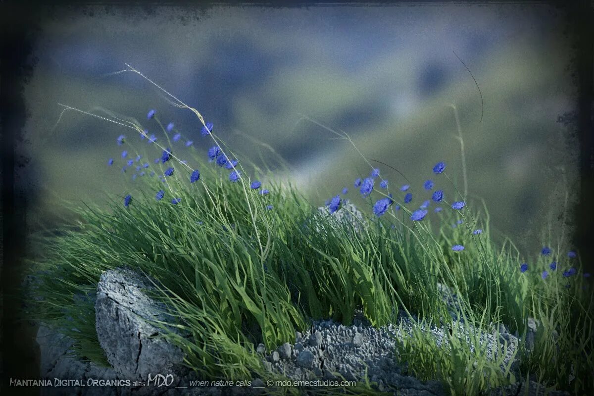 тростник и солнце. перья воздушные. ветер рисунок. усиление ветра. дуновение ветра.