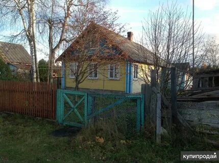 Авито пудож