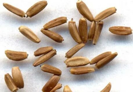 Crop id