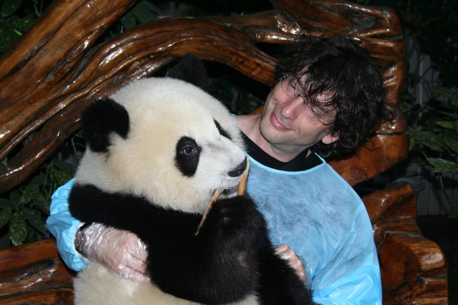 Панда и человек. Панда обнимается с человеком. Обниматели панд. Обнять панду